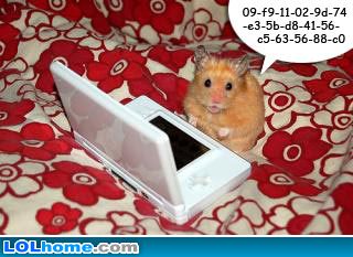 hamster computer